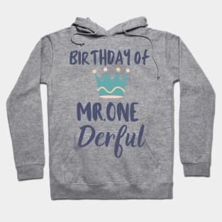 Birthday of Mr.One Derful Hoodie